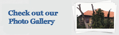 Check out our Photo Gallery
